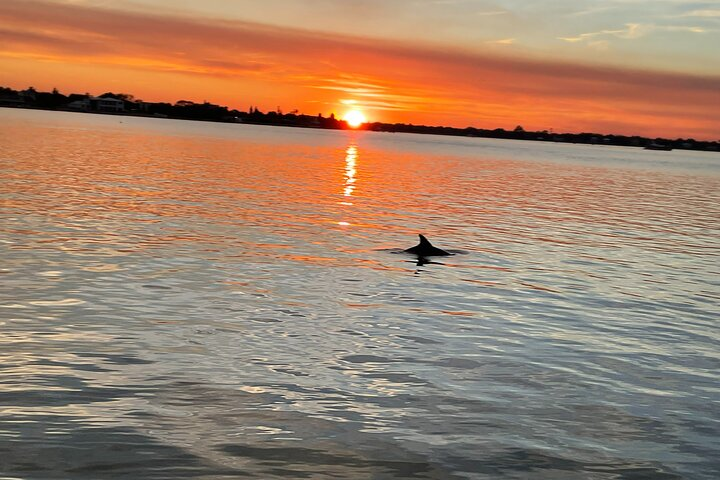 Adventure Boat Tours - Sunset Water Tour in St. Augustine - Photo 1 of 8